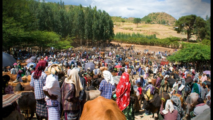 Viaje a Etiopía. Fotográfico Danakil y Lalibela